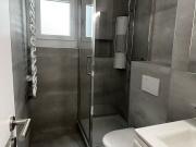 Beautiful 3.5 room apartment in Lausanne with...