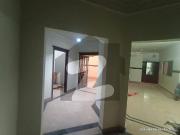 Beautiful 3 bed room apartments for rent