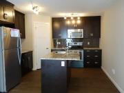 Beautiful 3 Bedroom Fourplex for Rent in Clareview