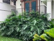 Beautiful 3 Bedroom House FOR RENT San Lorenzo Village,...