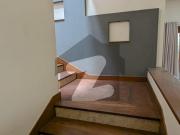 Beautiful 500 Yards House For Rent Near Consulate... Beautiful 500 Yards House For Rent Near Consulate...