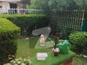 Beautiful 5 Marla Safari Home Sector F For Sale Fully...