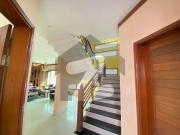 Beautiful 6 bedroom tile flooring 500 yards bungalow for... Beautiful 6 bedroom tile flooring 500 yards bungalow for...