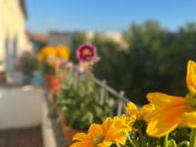 Beautiful and charming apartment in Top location of...