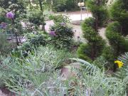 Beautiful and freshly renovated two room flat with... Beautiful and freshly renovated two room flat with...