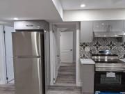 Beautiful Basement Available for rent