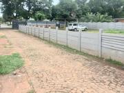 beautiful beginning in a quiet street