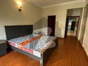 Beautiful brand new furnished 2 bed rooms apartment for...