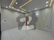 Beautiful Brand New House Available For Rent In D 12...