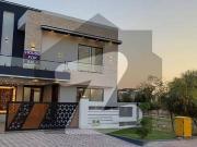 Beautiful Branded House