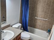 Beautiful & comfy Tampa House with Living room