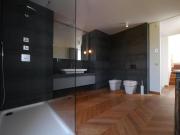 Beautiful contemporary villa in Vésenaz