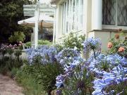 Beautiful Cosy 1x bed 1x bath Spacious Fully Furnished...