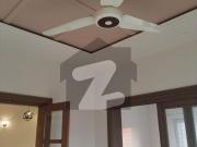 Beautiful Designer Brand New House Available For Rent...