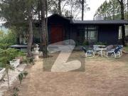 Beautiful Farm House Of 8 Kanal For Sale