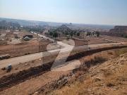 Beautiful Full Location And Secure Investment