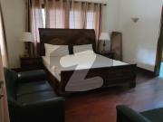 Beautiful Fully Furnished Bungalow Available DHA Phase 1