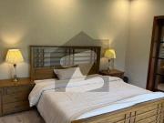Beautiful Fully Furnished House