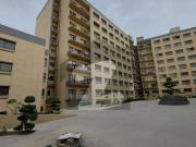 Beautiful Ground Floor Flat For Rent Hayatabad Phase 5