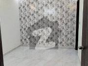 Beautiful Ground Plus One 15A/5