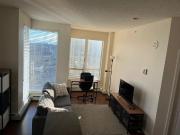 Beautiful High Rise Vantage Pointe Apartment