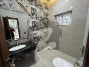 Beautiful House Available For Rent On Prime Location Of F8