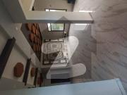 Beautiful house brand new 400sqyd