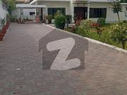 Beautiful House For Rent In E 7