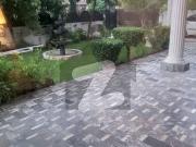 Beautiful House For Sale With Extra Land