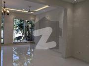 Beautiful House Fully Renovated House For Rent In F10