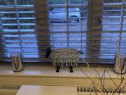 Beautiful large annex. Total privacy, peaceful and...