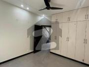 Beautiful location brand new house for rent d 12