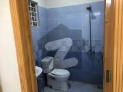 Beautiful location ful hous for rent