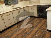 Beautiful Luxurious Relaiable House In Ayub Colony...