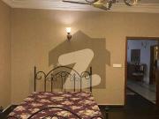 Beautiful Luxury Fully Furnished Rooms