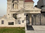 Beautiful Luxury Furnished House Available For Rent...