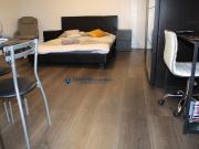 Beautiful Luxury Refurbished Large Double Studio to rent...