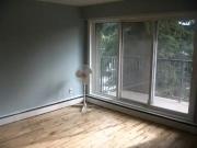 Beautiful modern condo