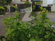 Beautiful Modern Spanish Style 1 Kanal House For Sale...