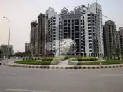 Beautiful New Banglow