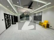Beautiful New Renovated House For Rent Prime Location F...