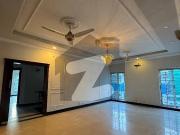 Beautiful New Upper Portion in F 11