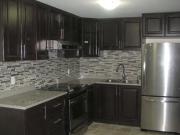 Beautiful Open Concept Spacious Basement Apartment for...