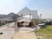 Beautiful Plot Ready For Construction