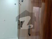 Beautiful Renovated Full House For Rent F 8