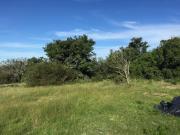 beautiful stand with views in the id.