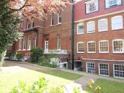 Beautiful studio apartment in Putney