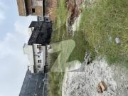 Beautiful Sun Facing I 11/2