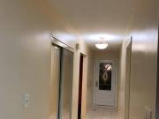 Beautiful three bedroom house for rent