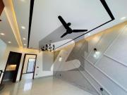 Beautifull brandnew 5 marla house available for rent on...